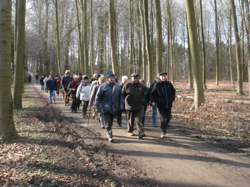 photo.jpg