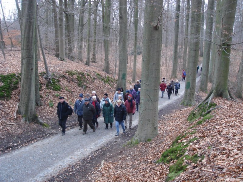 photo10.jpg