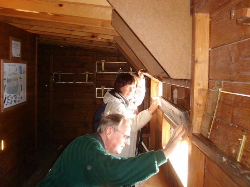 photo13.jpg