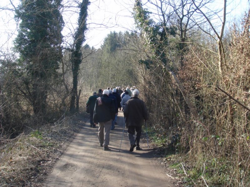 photo7.jpg