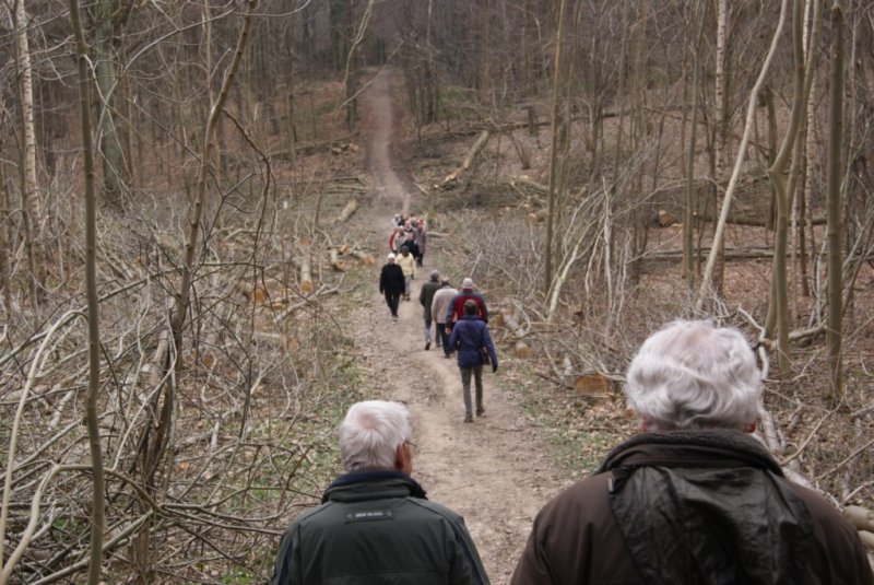 bertembos17.jpg