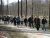 kmwandelingvijverstervuren02_small.jpg
