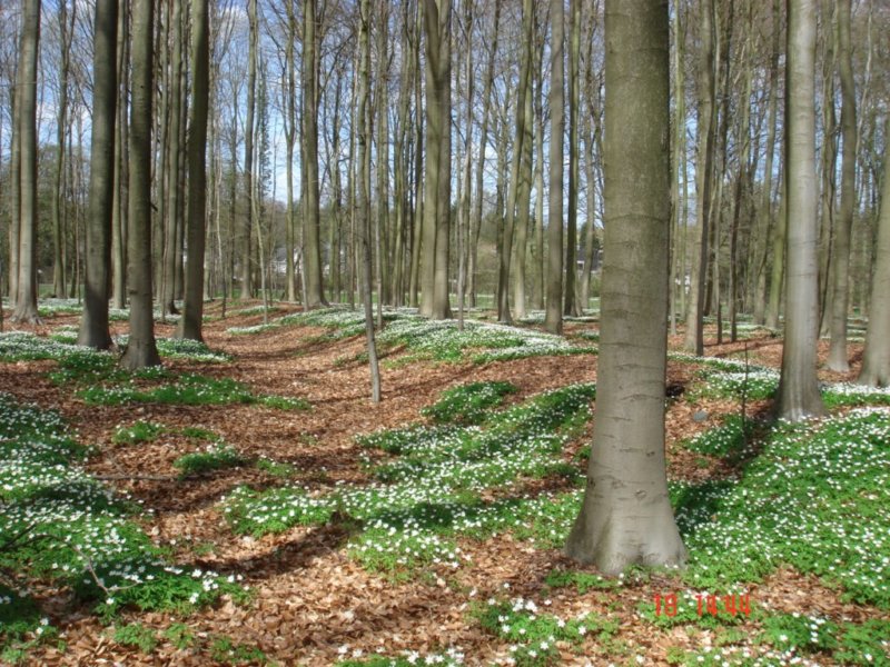 kmwandelingvijverstervuren05.jpg