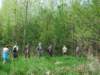 dsc00237_small.jpg