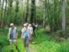 dsc00241_small.jpg