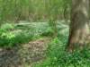 dsc00254_small.jpg