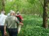 dsc00255_small.jpg