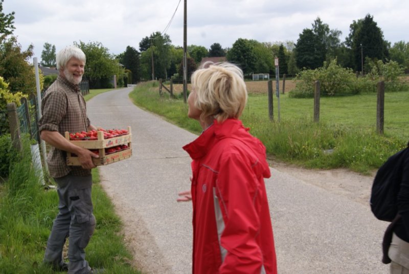 lubbeek12.jpg