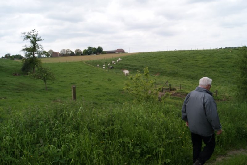 lubbeek13.jpg
