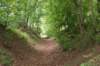 lubbeek19_small.jpg