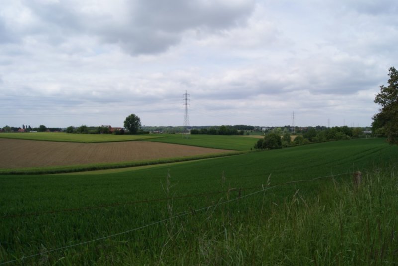 lubbeek21.jpg