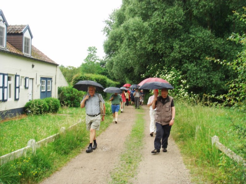 hever08.jpg
