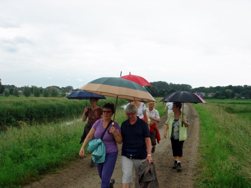 hever12.jpg