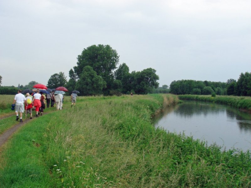 hever14.jpg