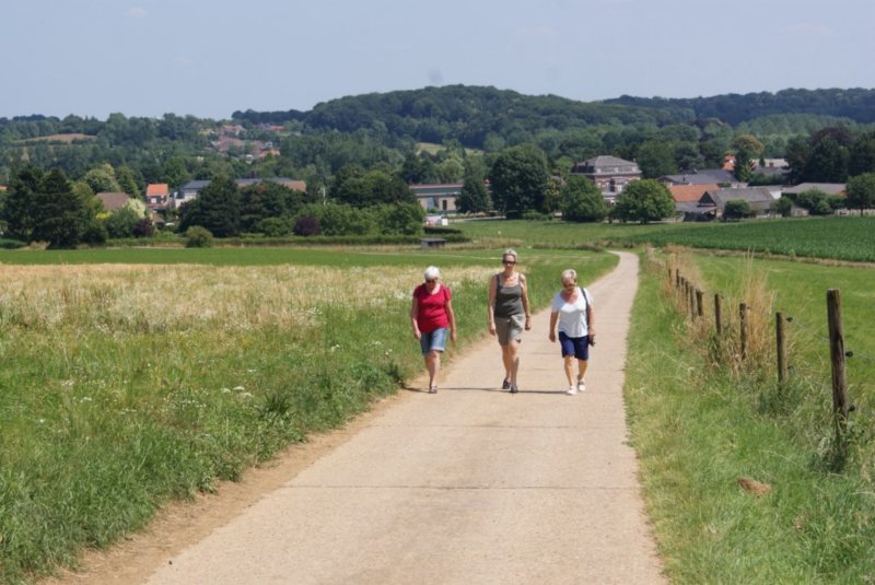 lubbeek04.jpg