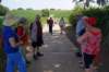 lubbeek07_small.jpg