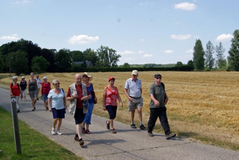 lubbeek13.jpg