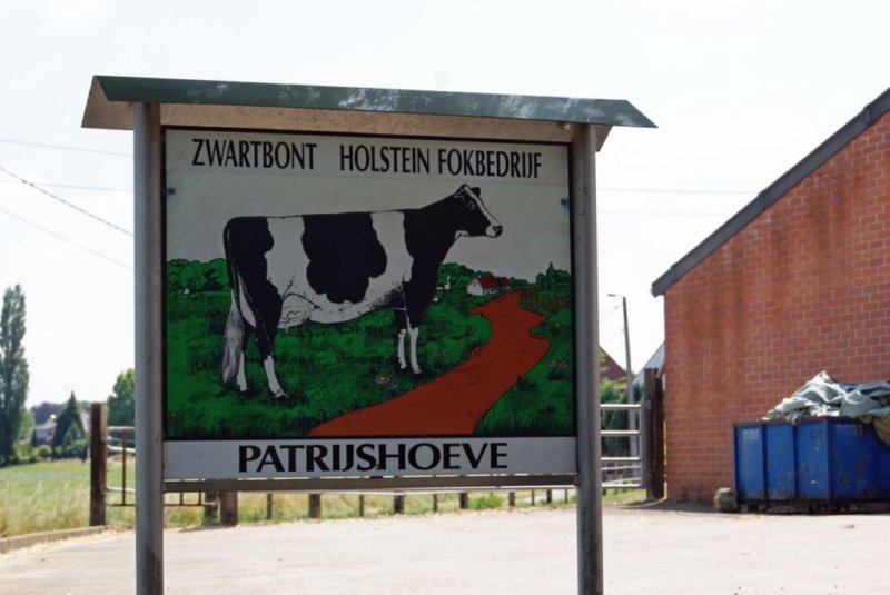 lubbeek17.jpg
