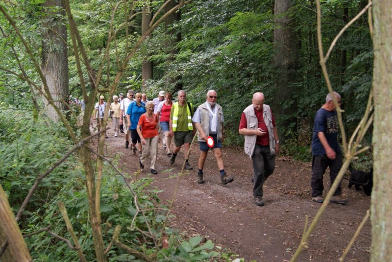 heverlee2208201308.jpg
