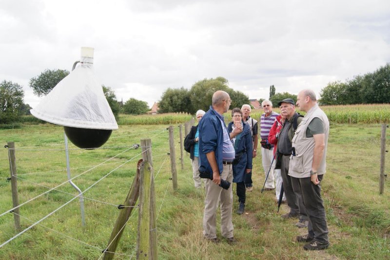 kampenhout0909201305.jpg