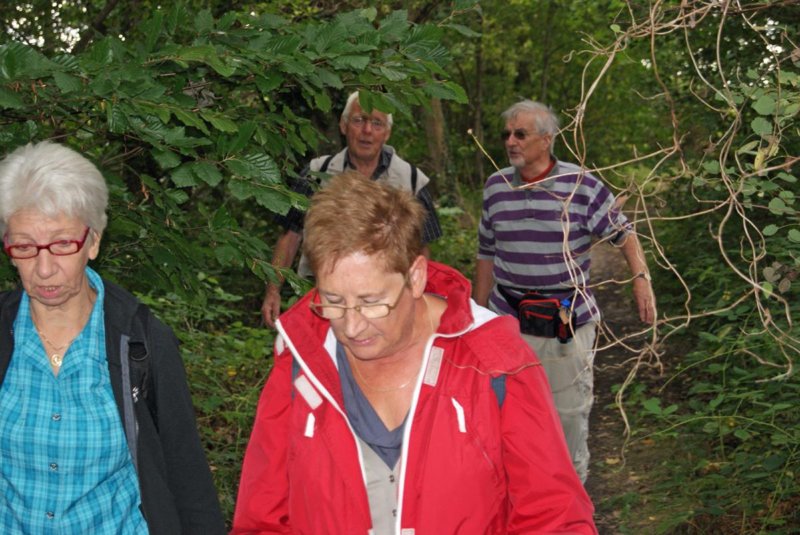 kampenhout0909201308.jpg