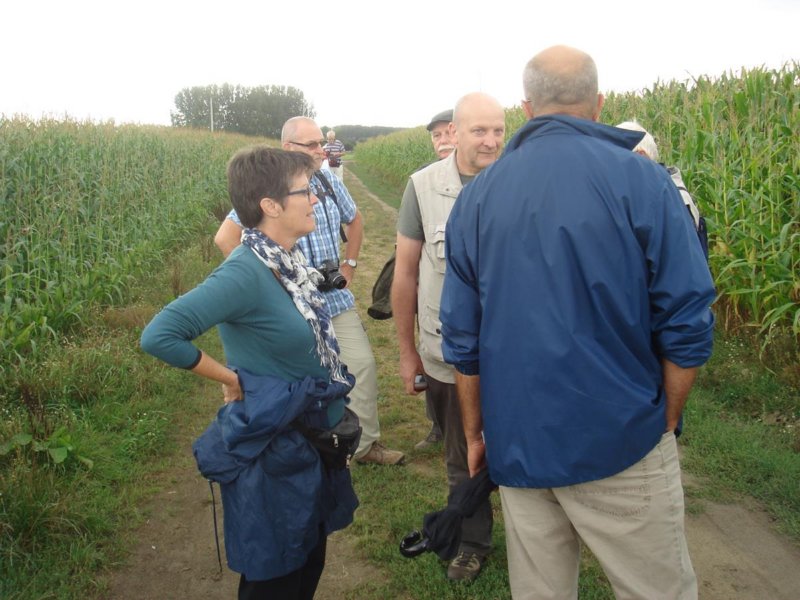 kampenhout0909201311.jpg