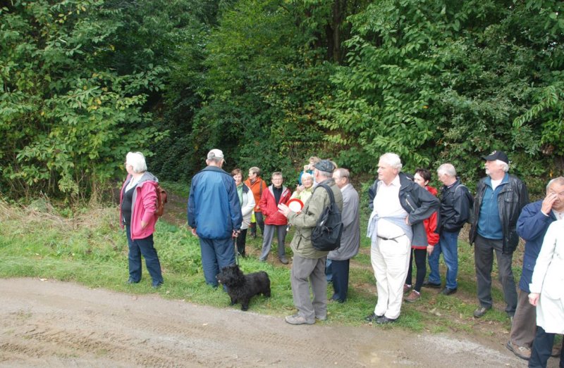 stjoriswinge04.jpg