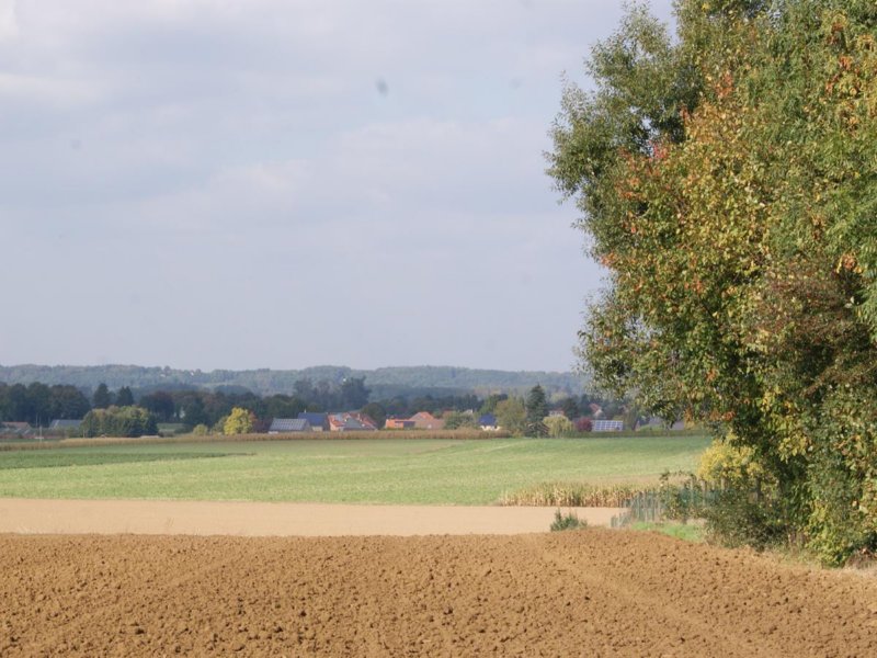 horst12.jpg