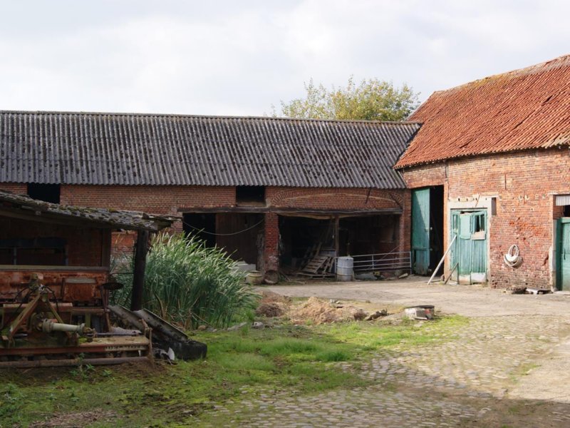 horst19.jpg
