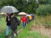bierbeek02_small.jpg