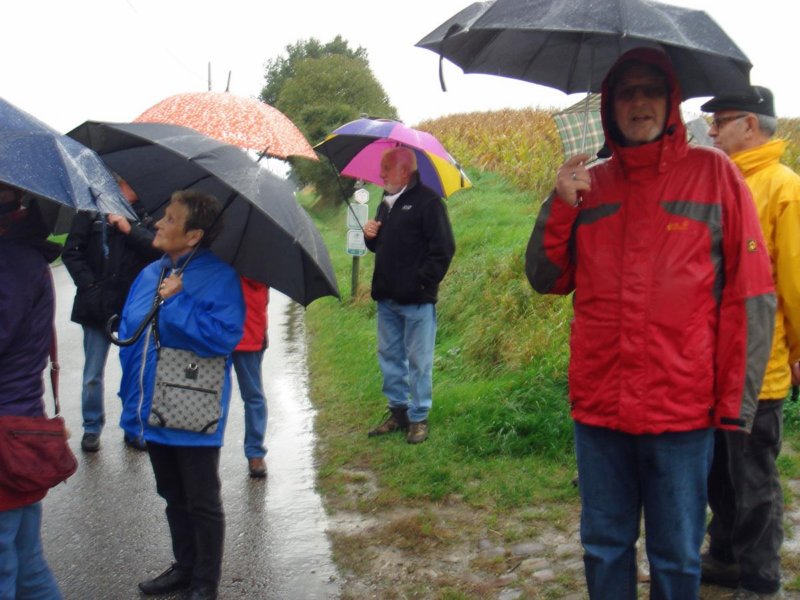 bierbeek06.jpg