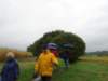 bierbeek07_small.jpg