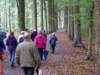 bierbeek15_small.jpg