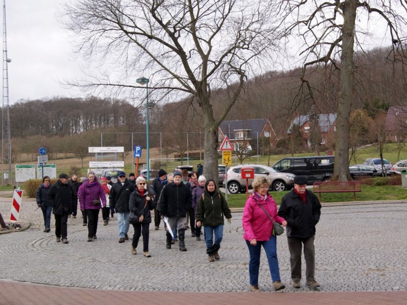 linden05.jpg