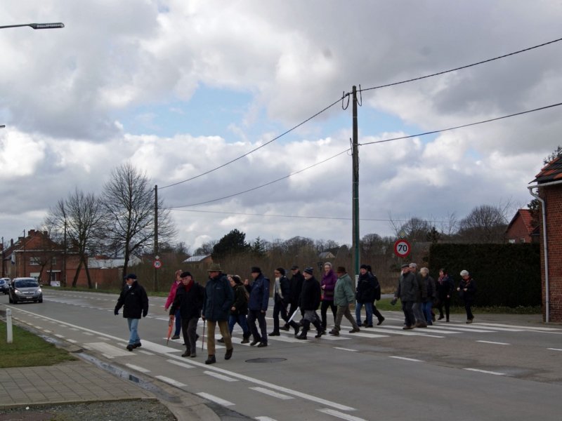 linden07.jpg