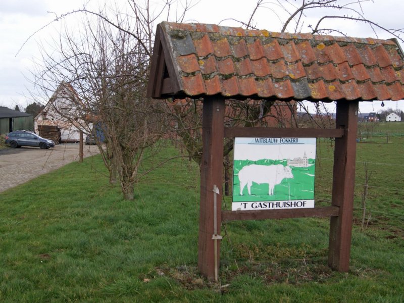 linden14.jpg