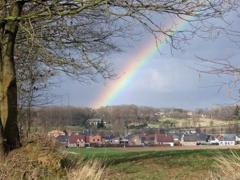 linden18.jpg