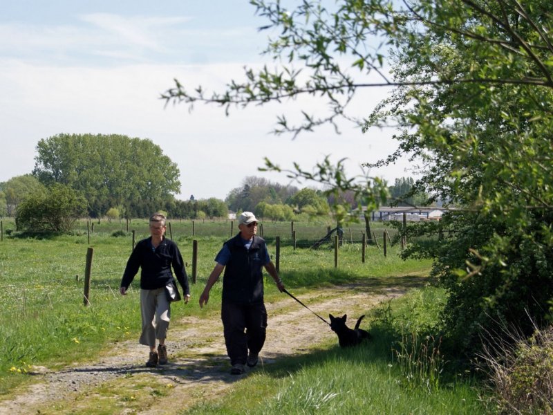 herent04.jpg