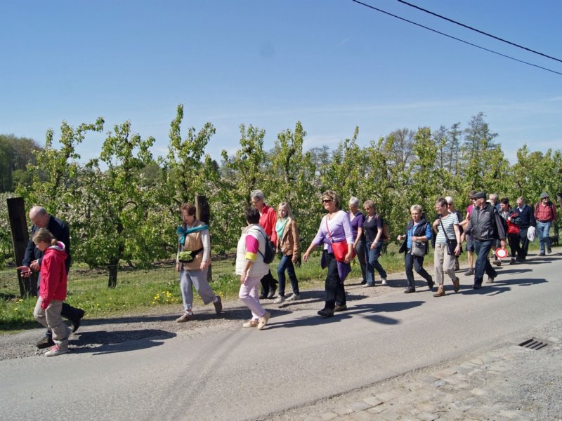 herent07.jpg