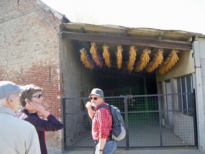 herent11.jpg