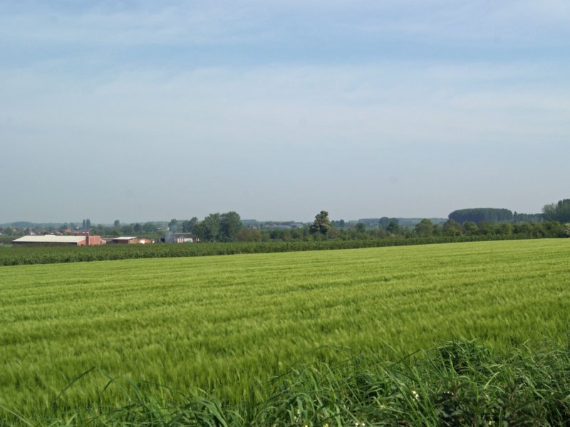 hoepertingen09.jpg