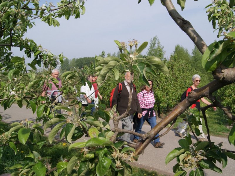 hoepertingen11.jpg
