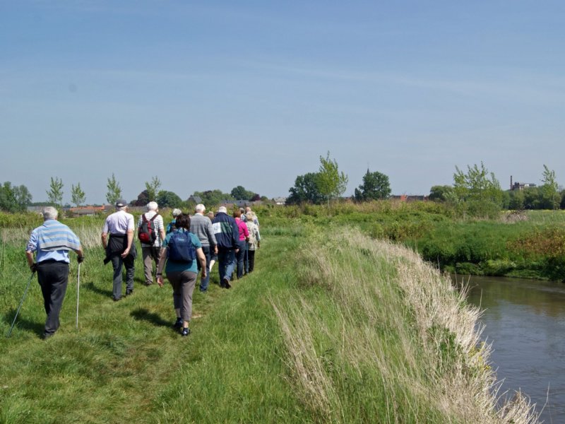 rotselaar03.jpg