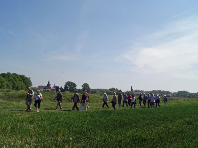 rotselaar05.jpg