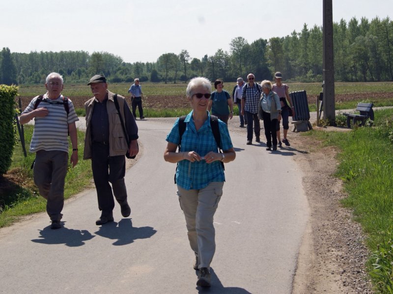 rotselaar08.jpg
