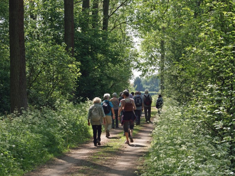 rotselaar15.jpg