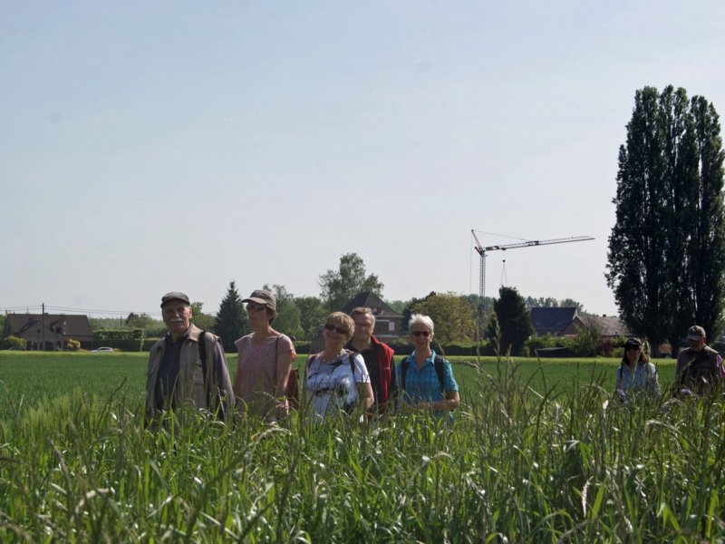 rotselaar20.jpg