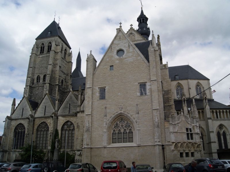 zoutleeuw01.jpg