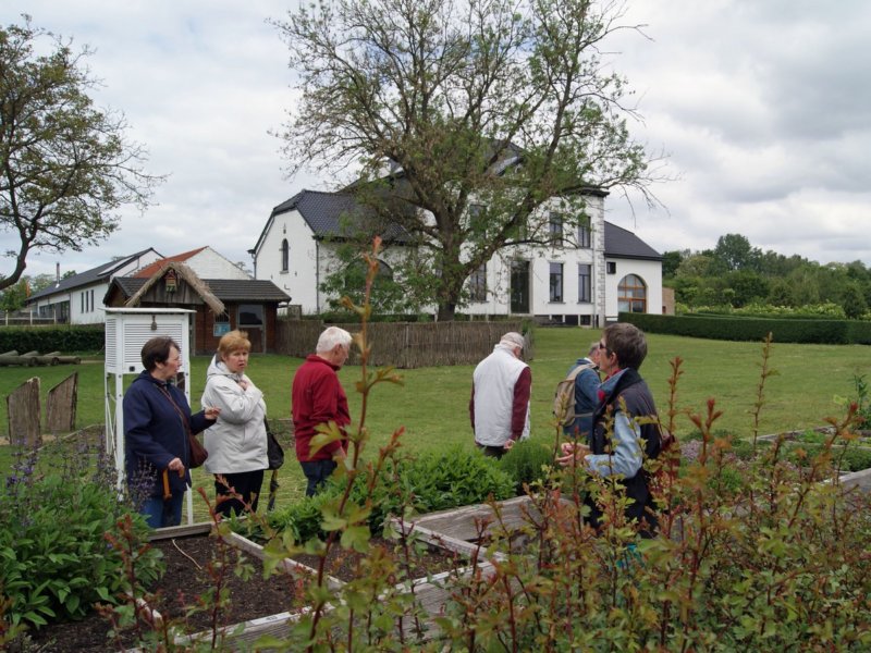 zoutleeuw19.jpg
