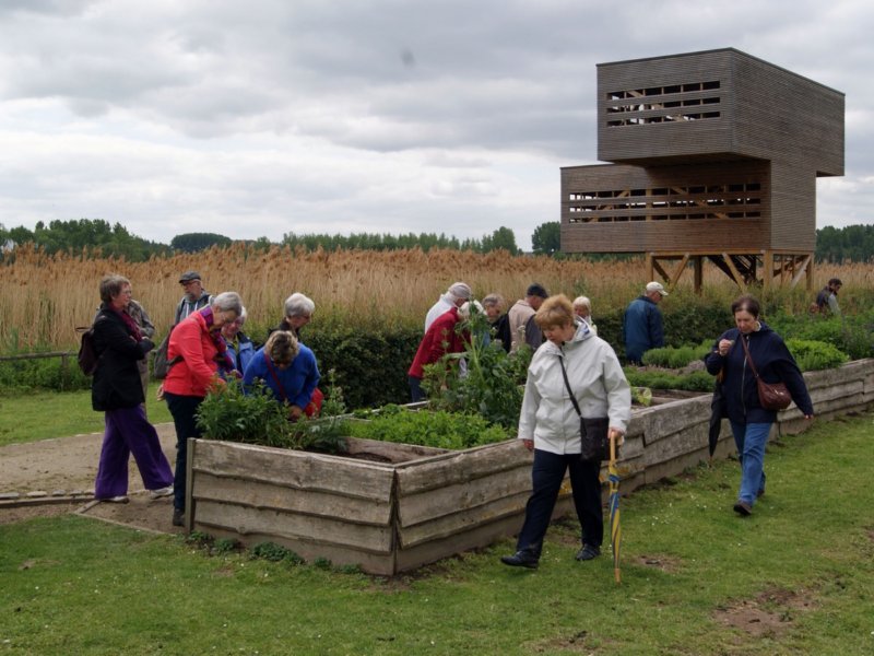 zoutleeuw20.jpg